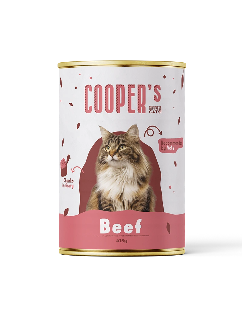 Wet food for adult cats with beef